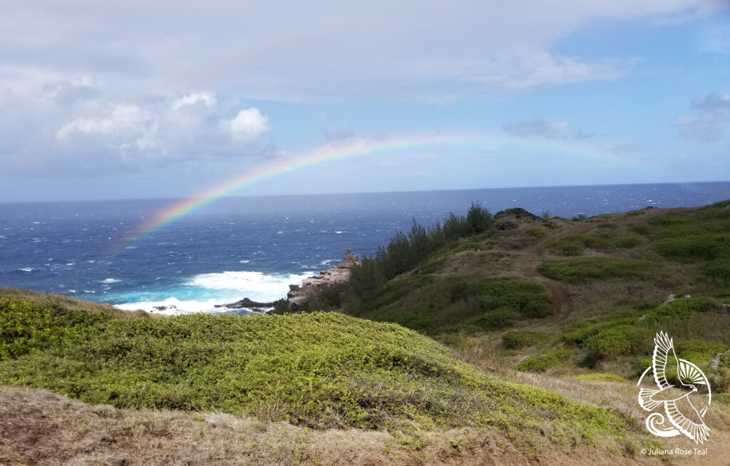 Maui rainbow